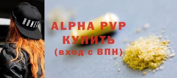 дмт Осташков