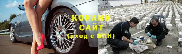 дмт Осташков