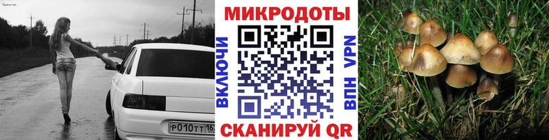 Галлюциногенные грибы Psilocybe  цены   Десногорск 